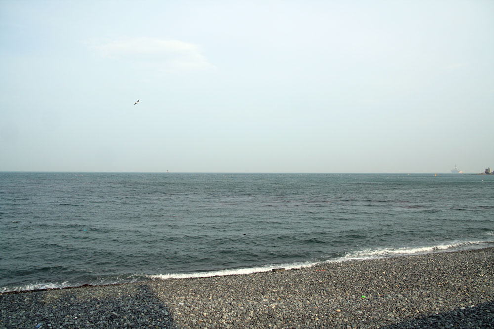 5aebb0829cf237ece660f3c3a9b8dc40_1739159455_1338.jpg