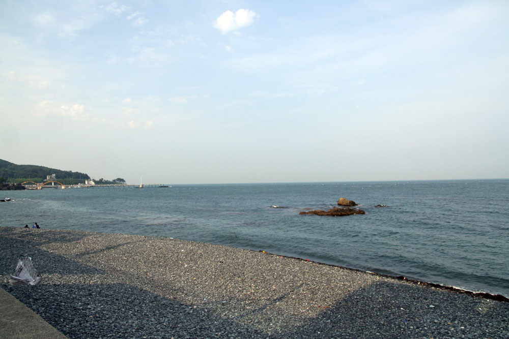 5aebb0829cf237ece660f3c3a9b8dc40_1739159455_7739.jpg